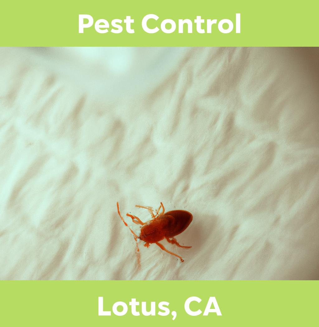 pest control in Lotus California