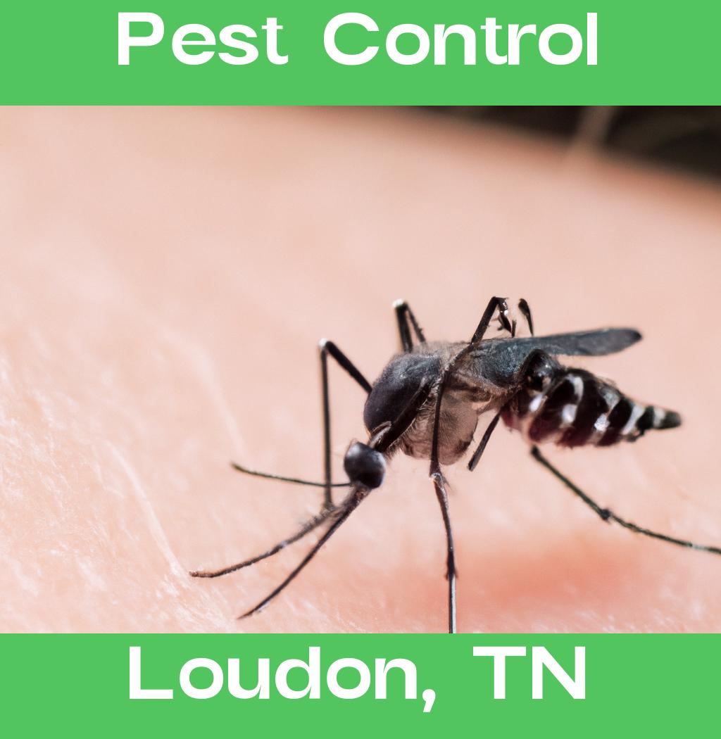 pest control in Loudon Tennessee