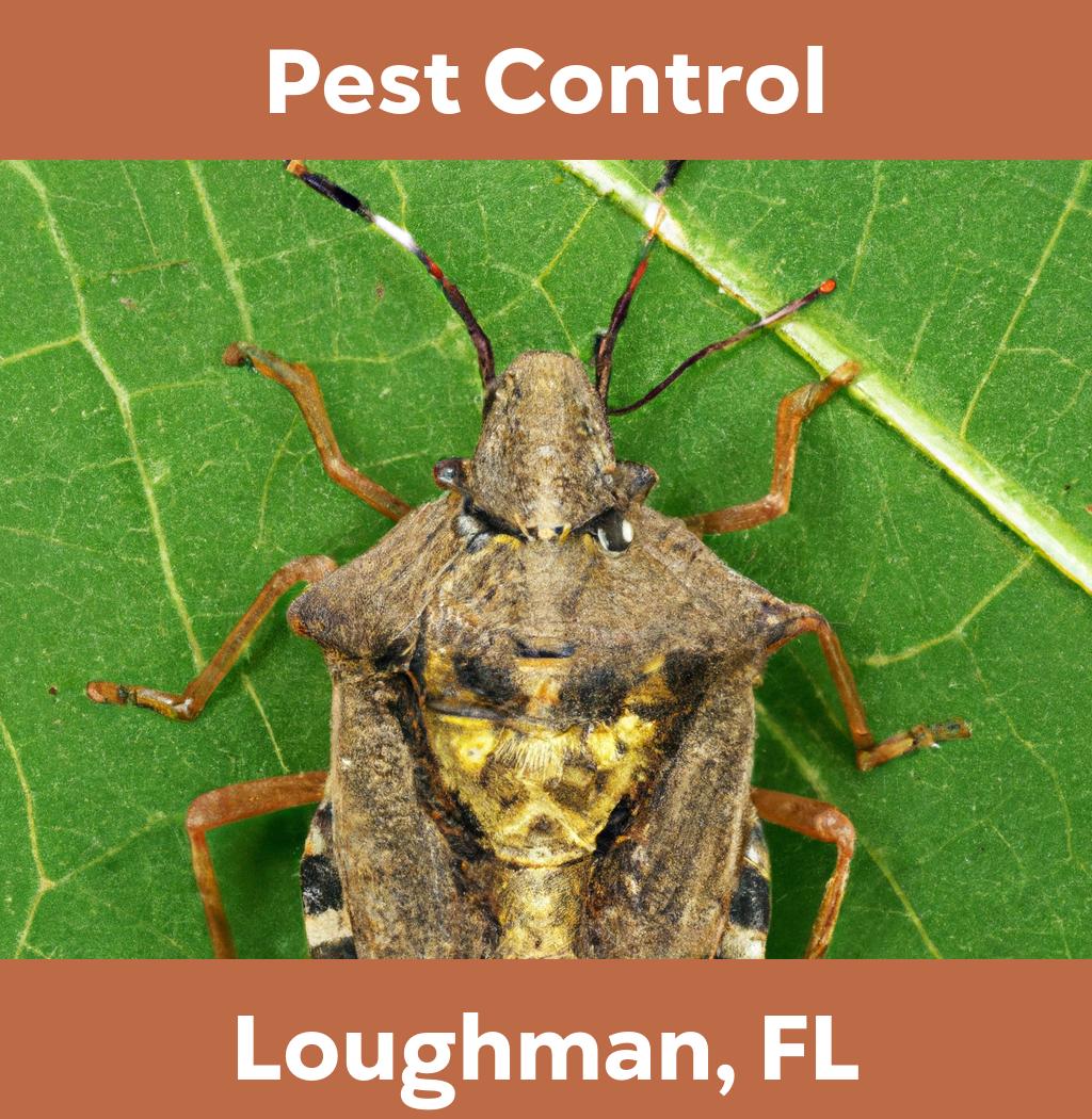 pest control in Loughman Florida