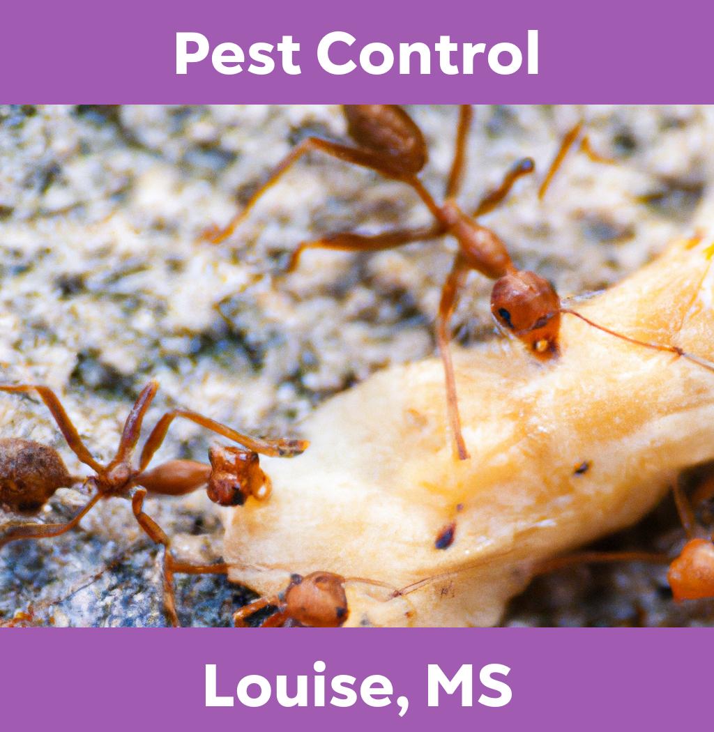 pest control in Louise Mississippi
