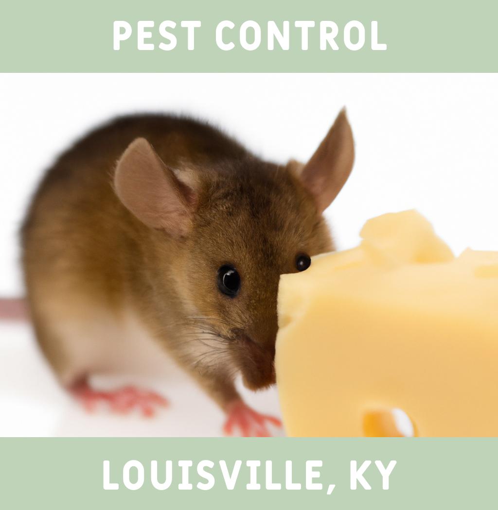 pest control in Louisville Kentucky