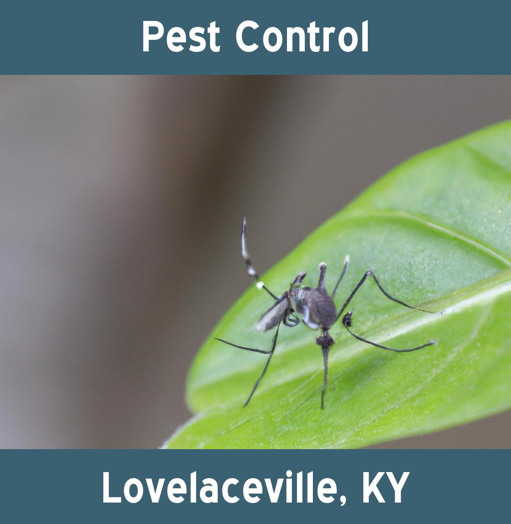 pest control in Lovelaceville Kentucky