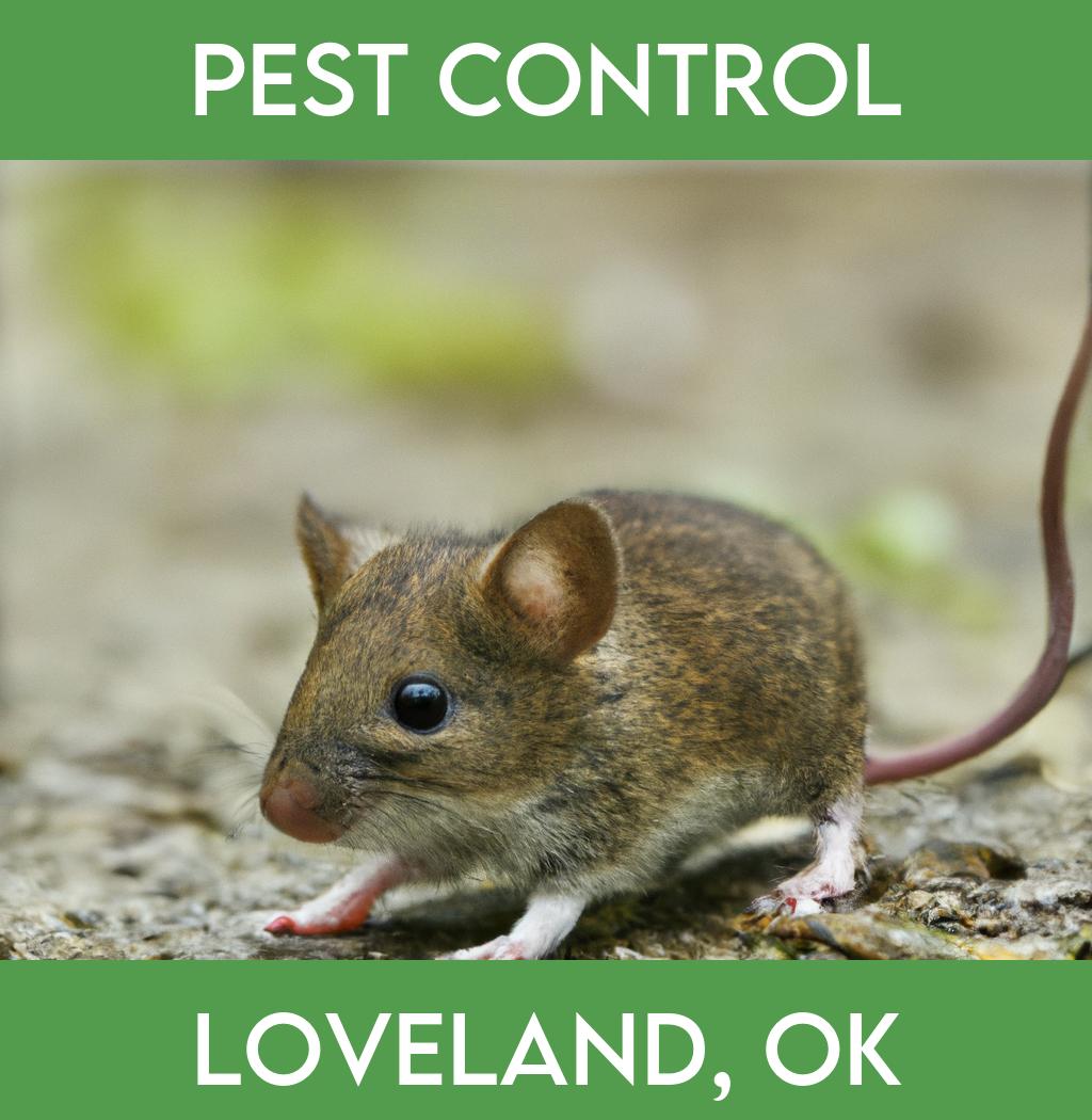 pest control in Loveland Oklahoma