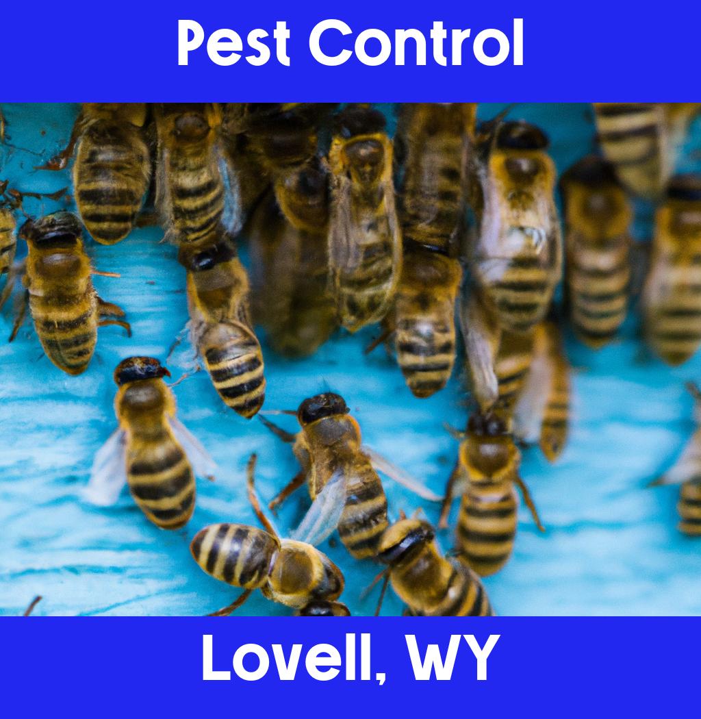 pest control in Lovell Wyoming
