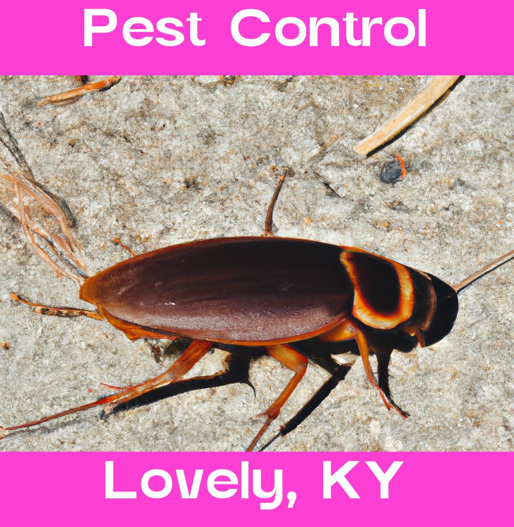 pest control in Lovely Kentucky