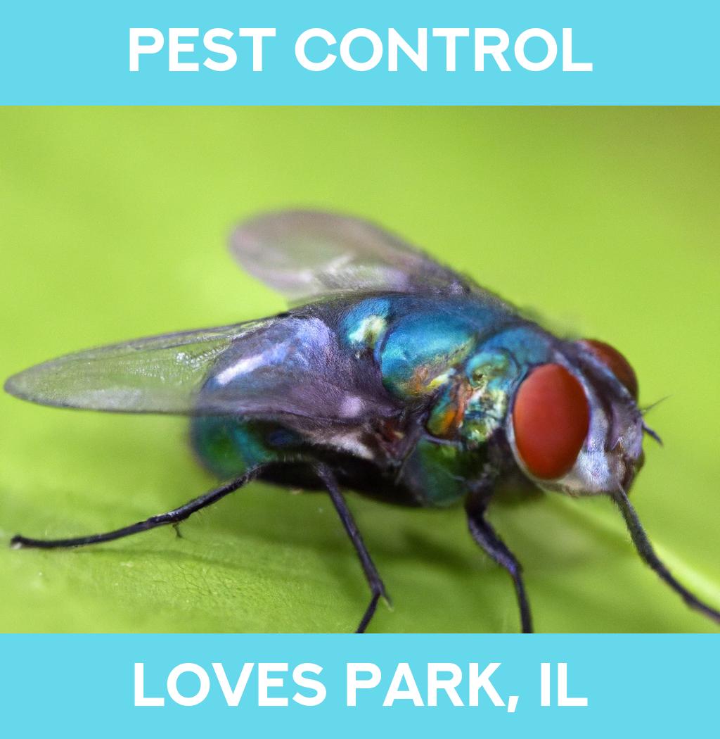 pest control in Loves Park Illinois