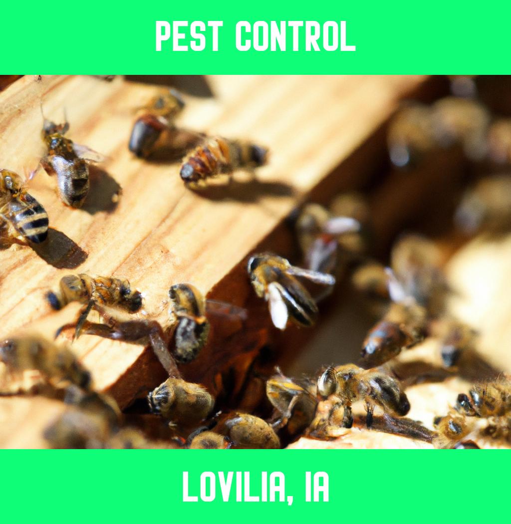 pest control in Lovilia Iowa