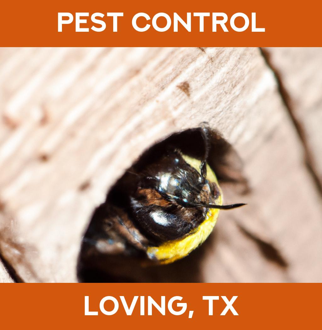 pest control in Loving Texas