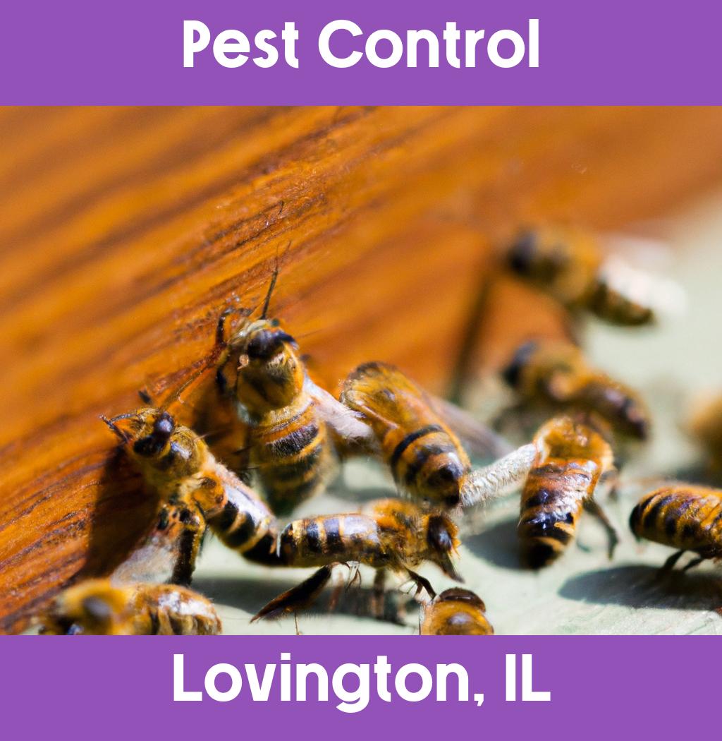 pest control in Lovington Illinois