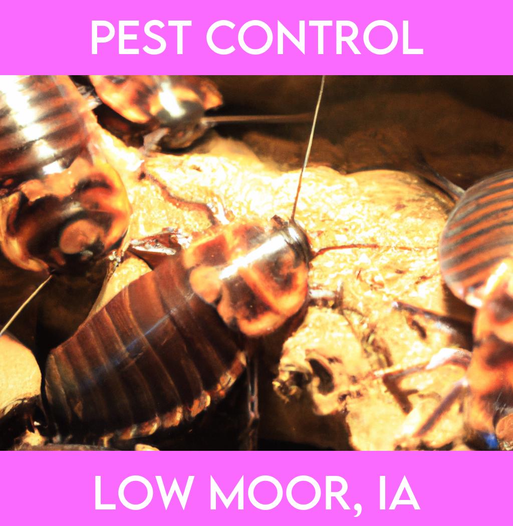 pest control in Low Moor Iowa