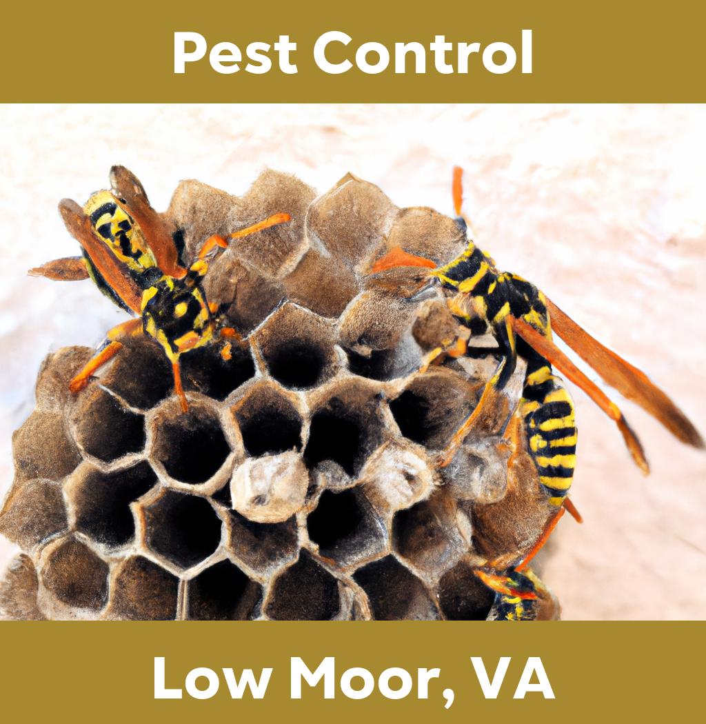 pest control in Low Moor Virginia