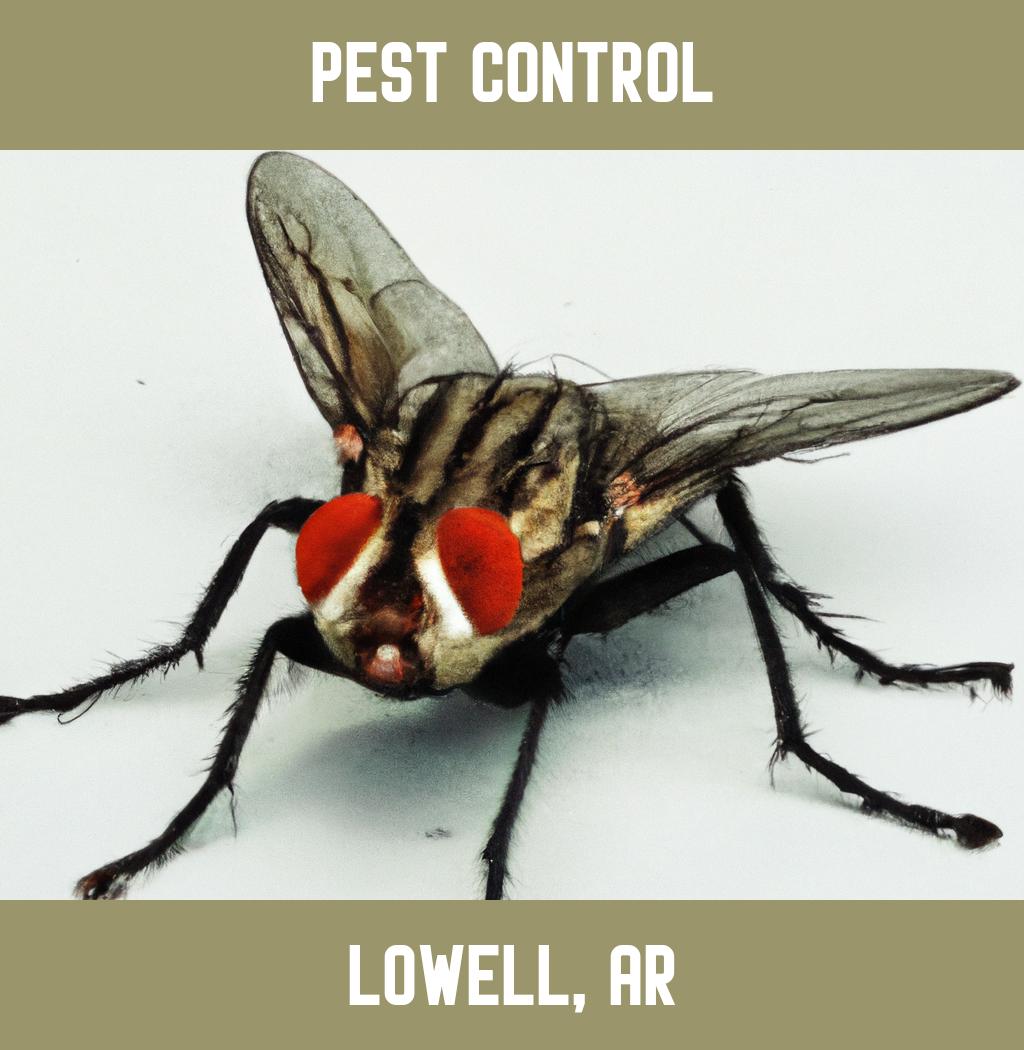 pest control in Lowell Arkansas