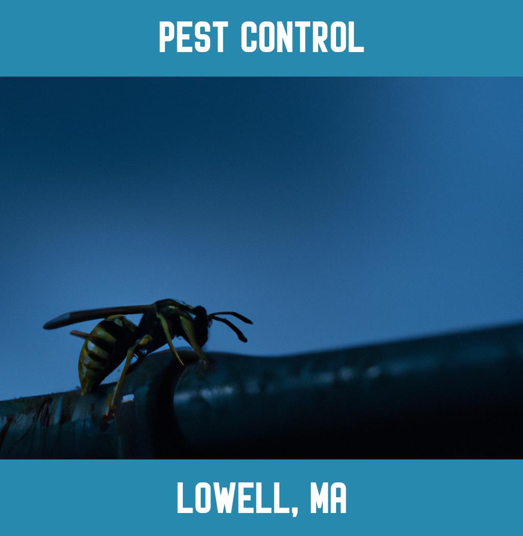 pest control in Lowell Massachusetts