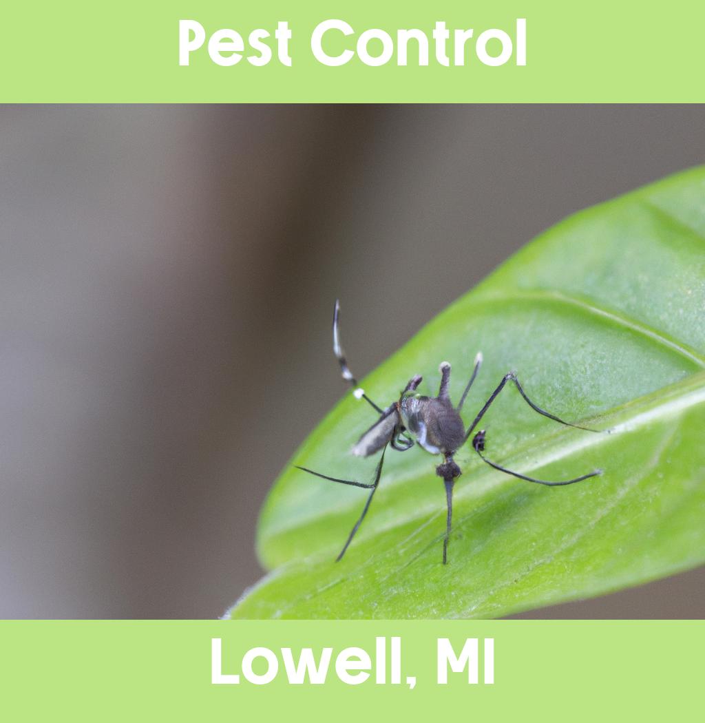 pest control in Lowell Michigan