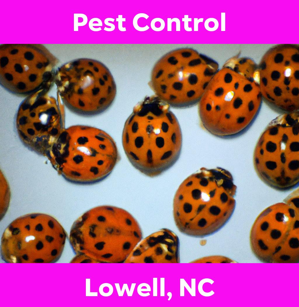 pest control in Lowell North Carolina