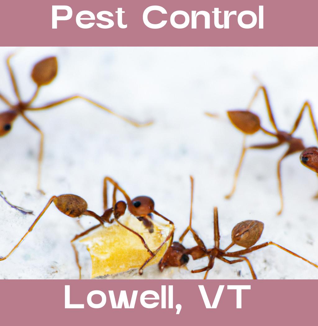 pest control in Lowell Vermont