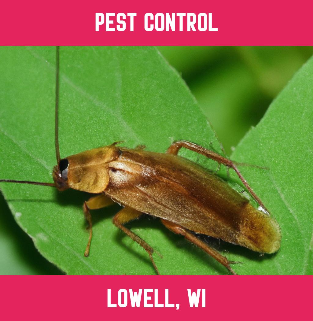 pest control in Lowell Wisconsin