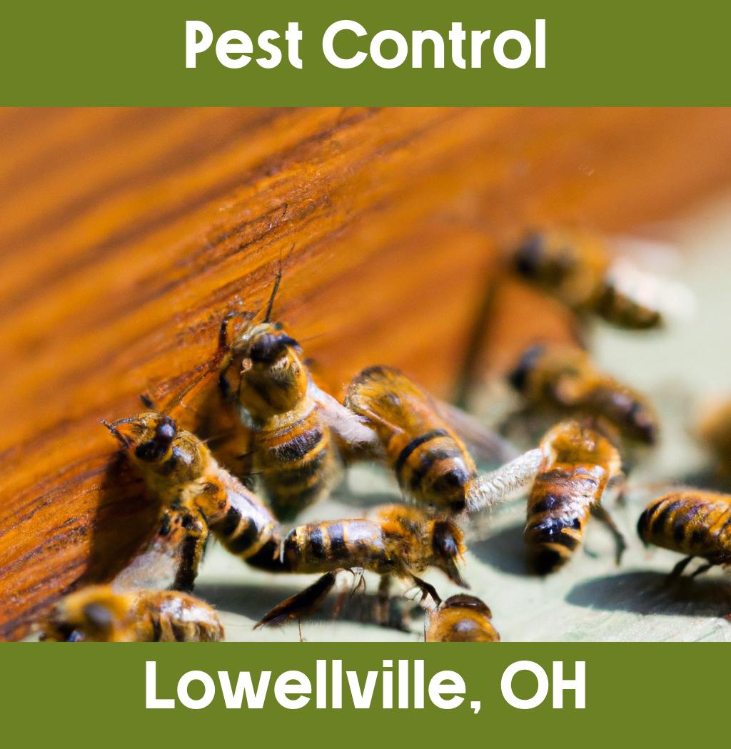 pest control in Lowellville Ohio