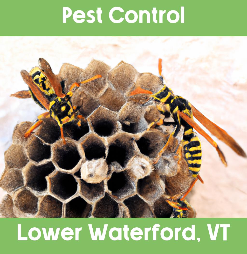 pest control in Lower Waterford Vermont