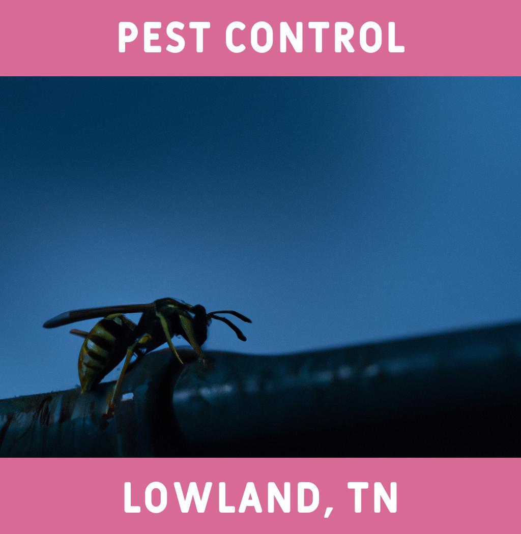 pest control in Lowland Tennessee