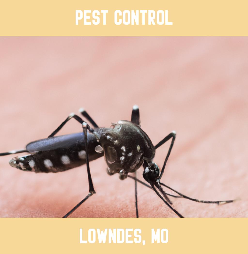 pest control in Lowndes Missouri