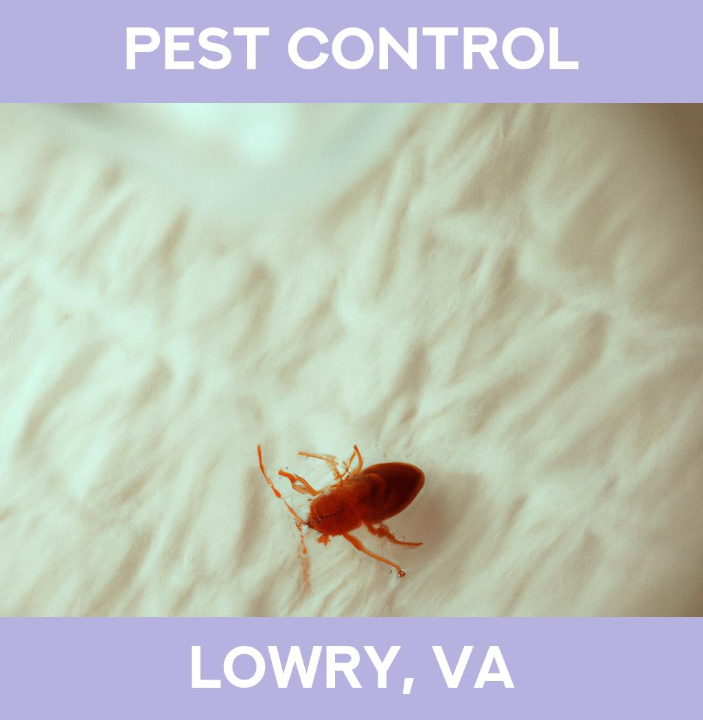 pest control in Lowry Virginia