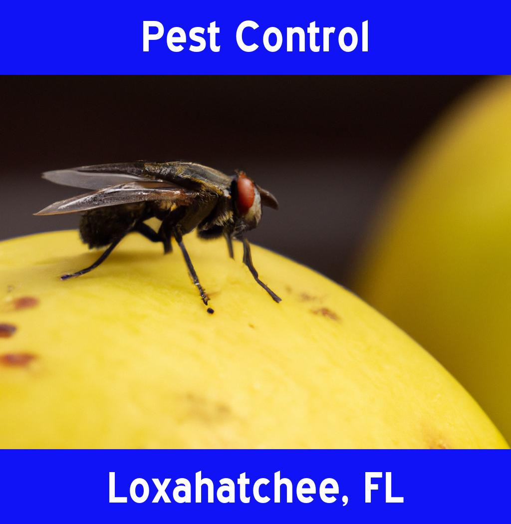 pest control in Loxahatchee Florida