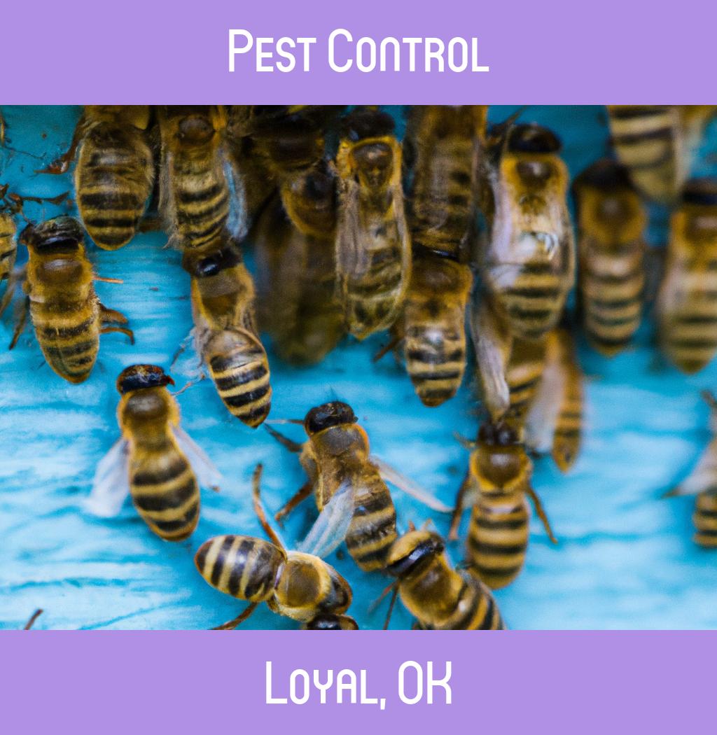 pest control in Loyal Oklahoma