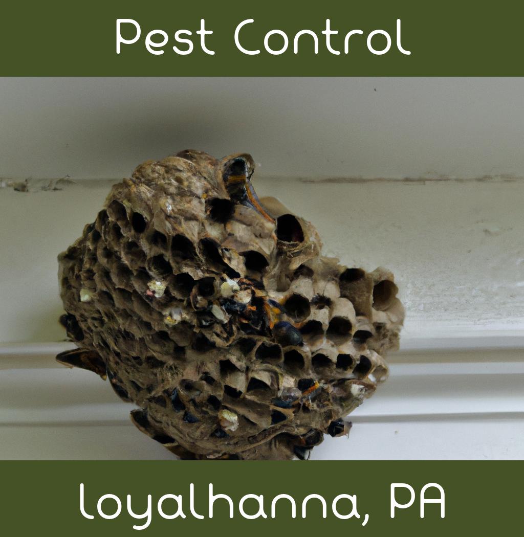 pest control in Loyalhanna Pennsylvania