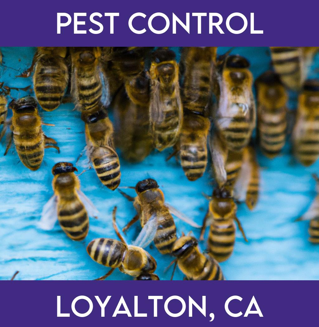 pest control in Loyalton California