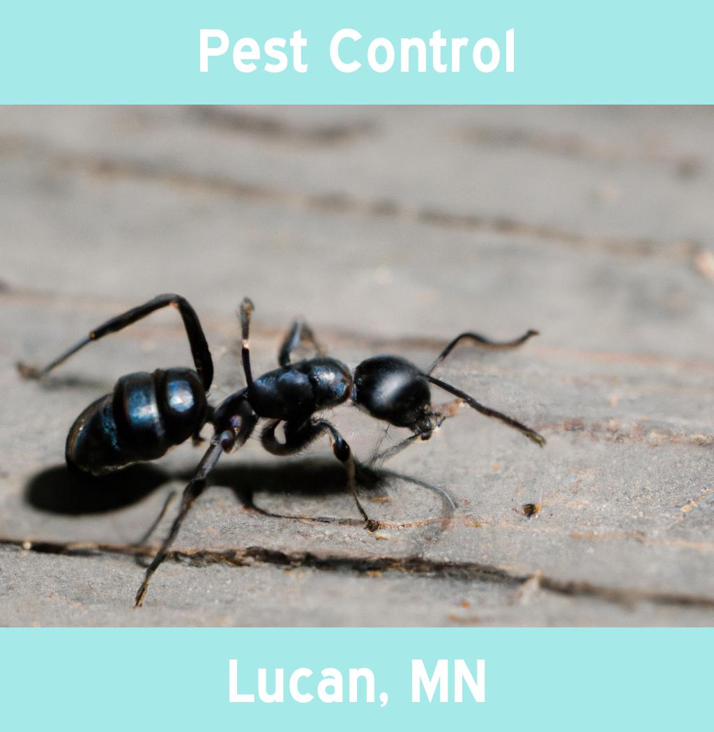 pest control in Lucan Minnesota