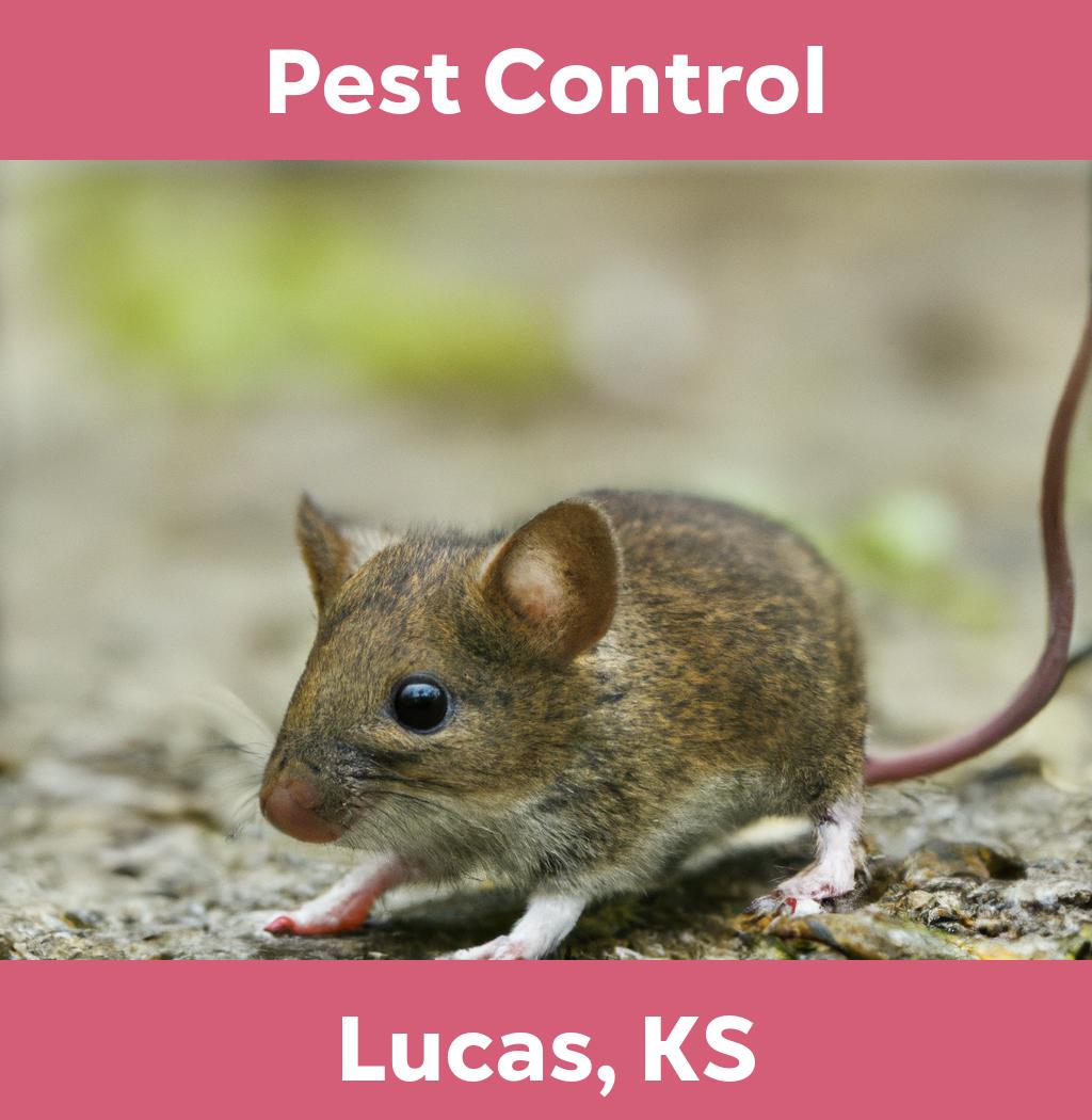 pest control in Lucas Kansas