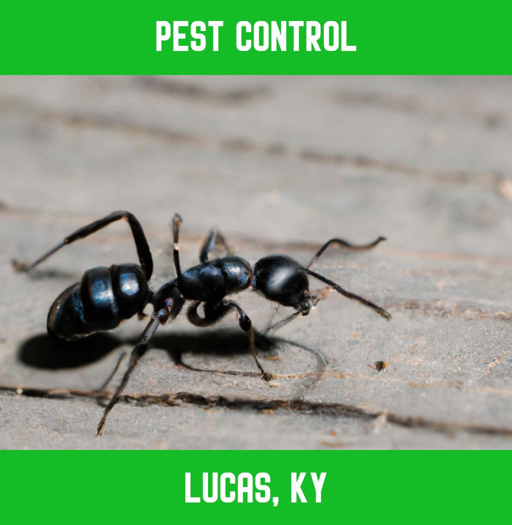 pest control in Lucas Kentucky
