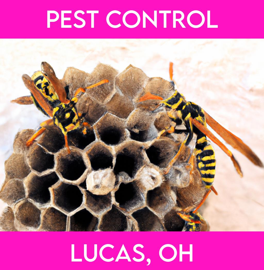 pest control in Lucas Ohio