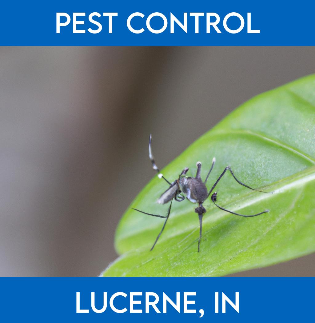 pest control in Lucerne Indiana