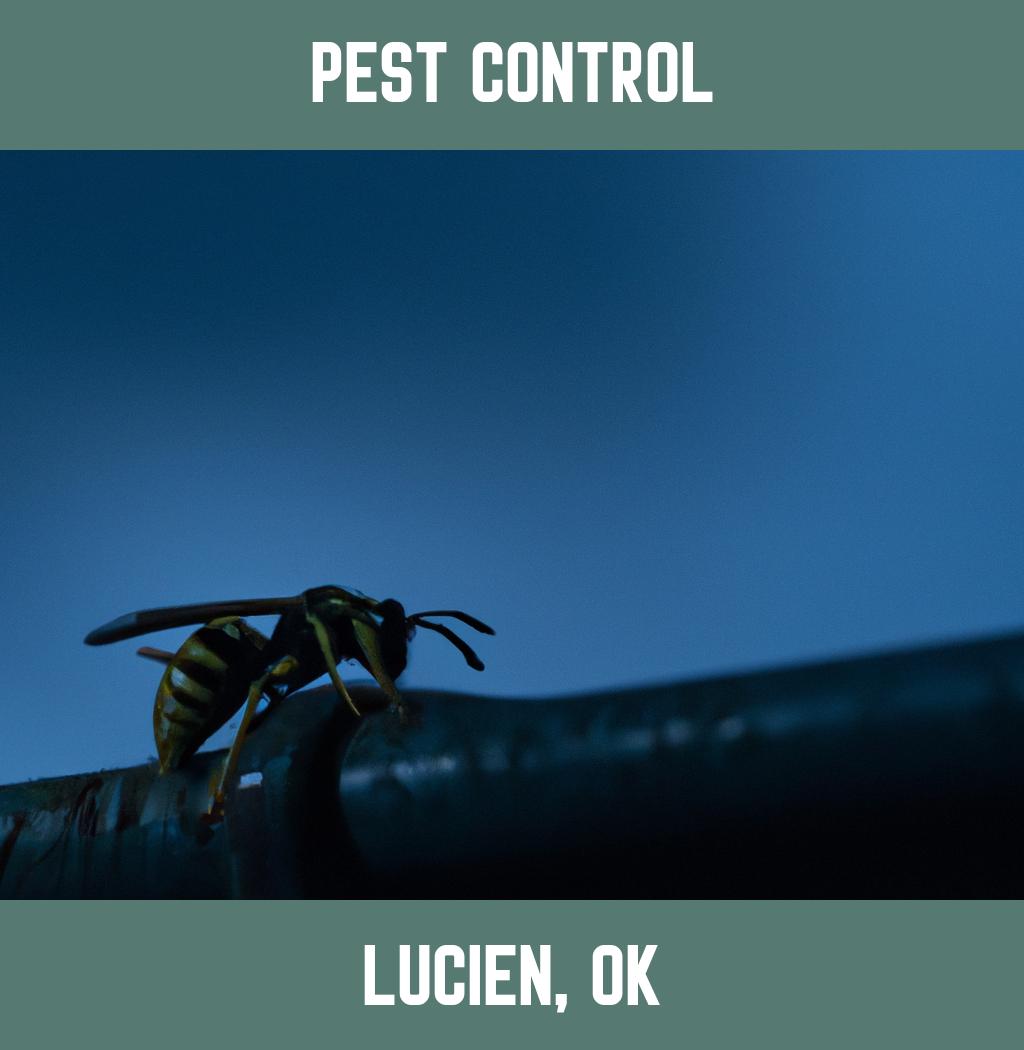 pest control in Lucien Oklahoma