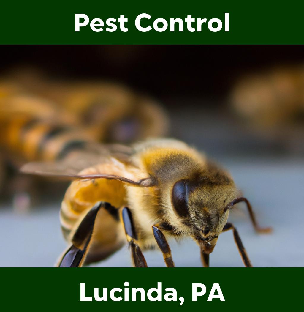 pest control in Lucinda Pennsylvania