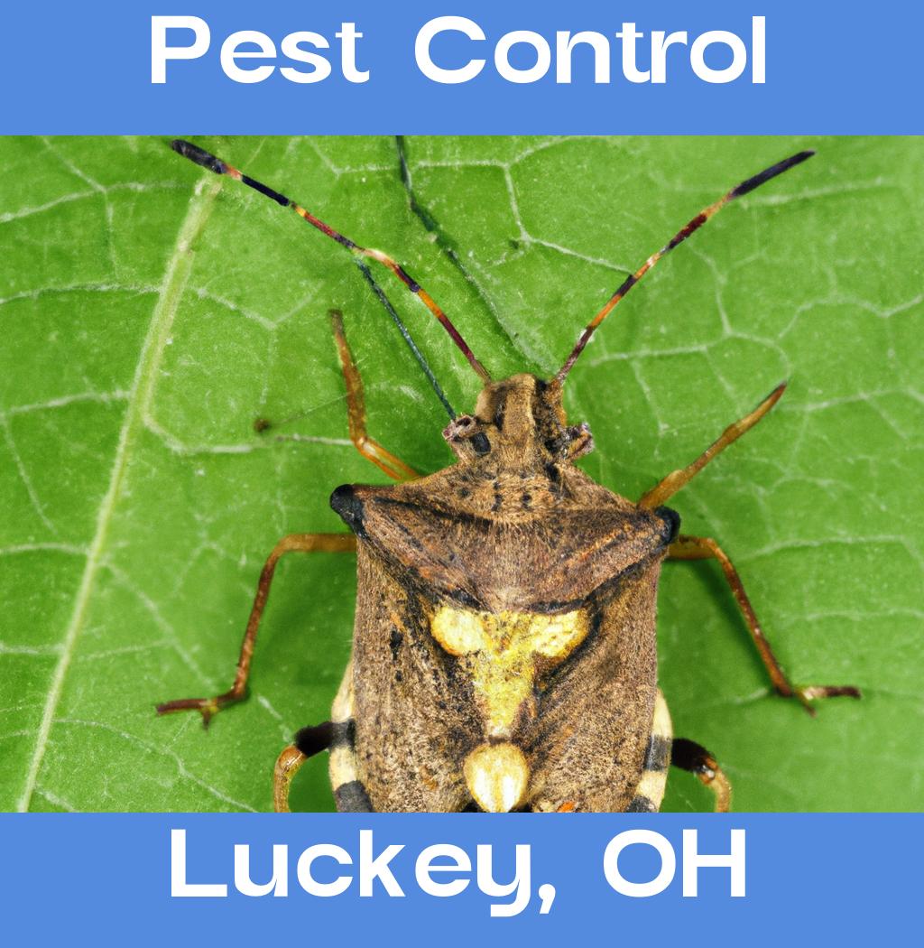 pest control in Luckey Ohio