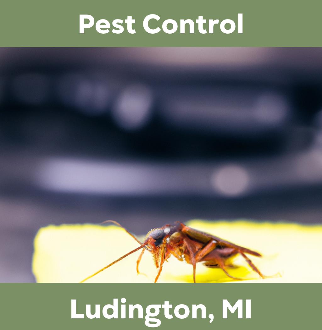 pest control in Ludington Michigan