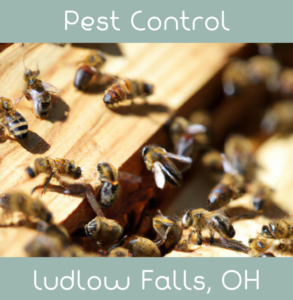 pest control in Ludlow Falls Ohio