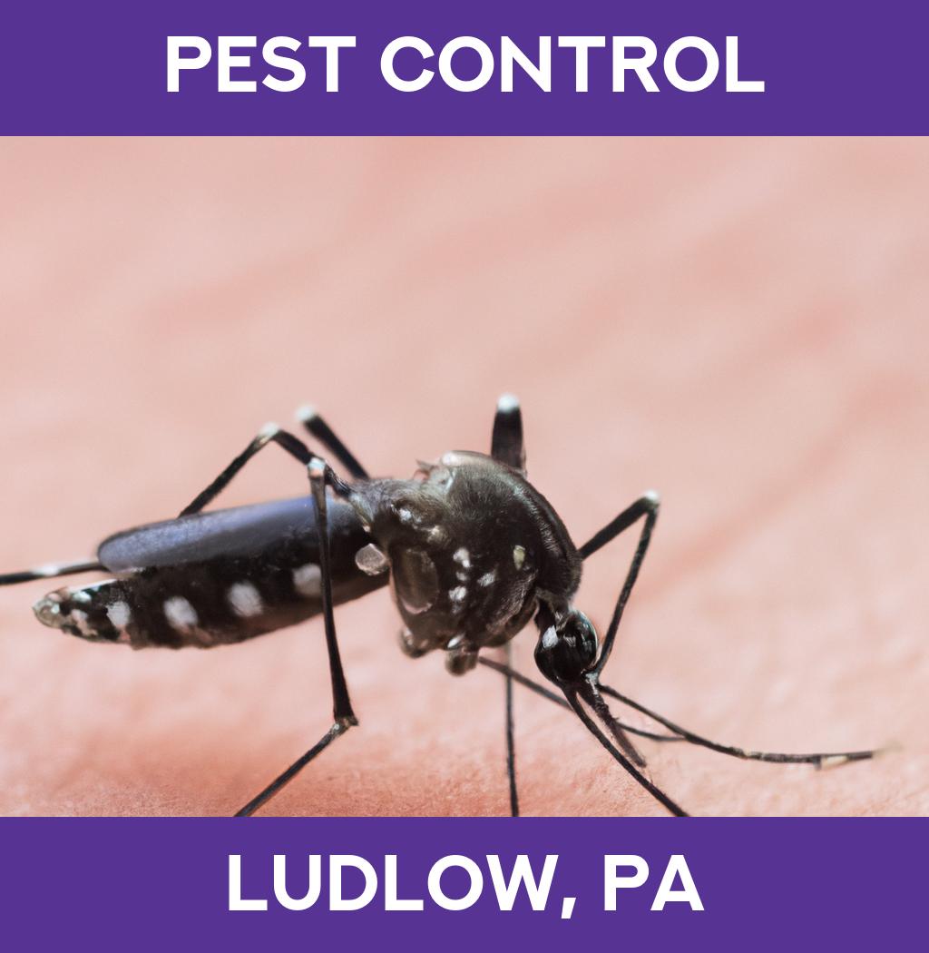 pest control in Ludlow Pennsylvania