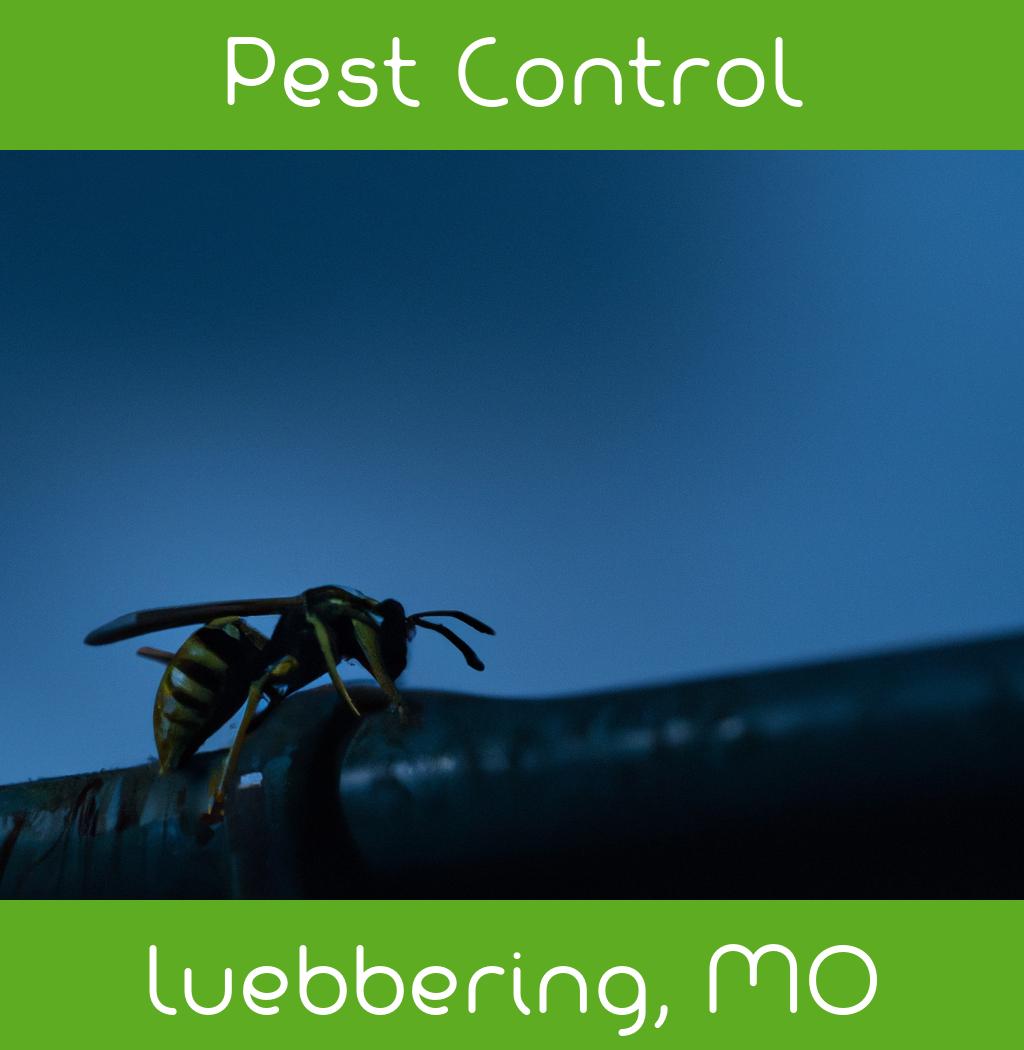 pest control in Luebbering Missouri