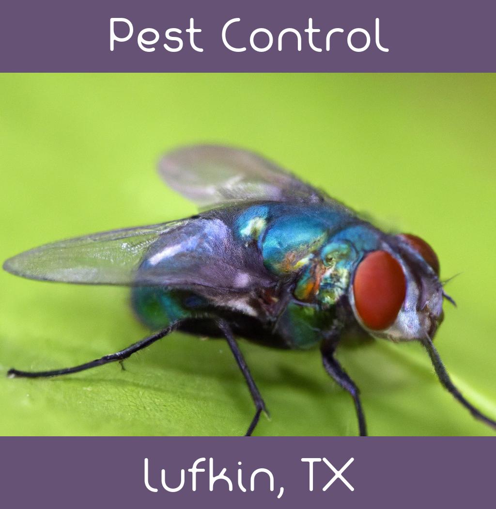 pest control in Lufkin Texas