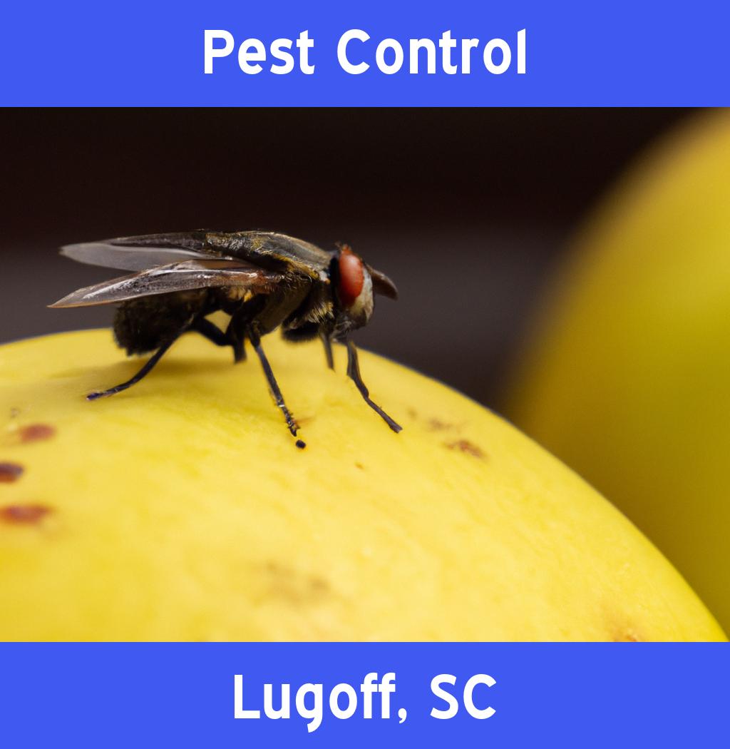 pest control in Lugoff South Carolina