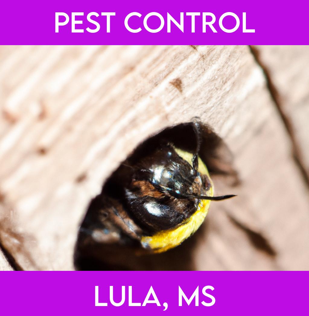 pest control in Lula Mississippi