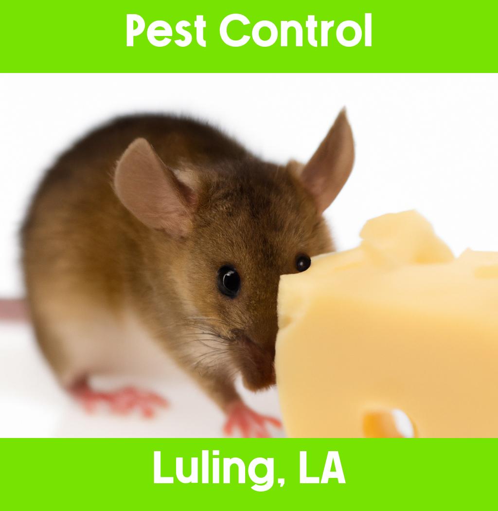 pest control in Luling Louisiana