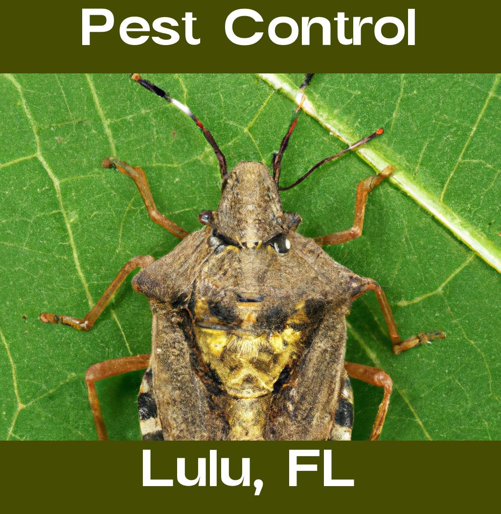 pest control in Lulu Florida