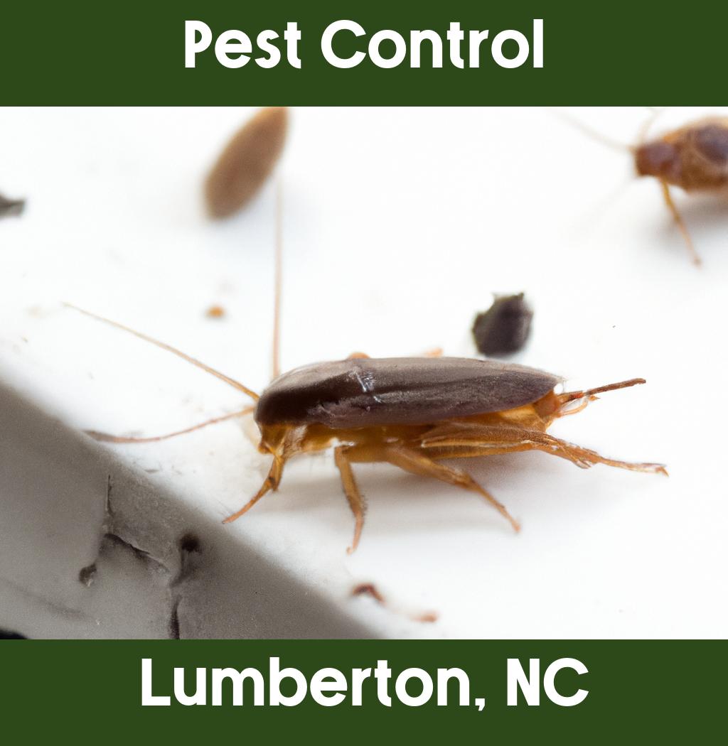 pest control in Lumberton North Carolina