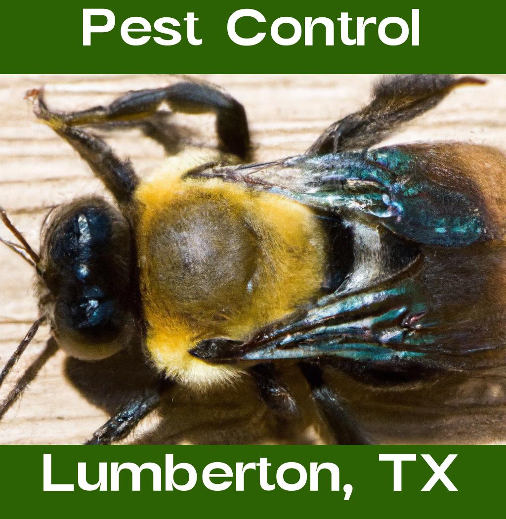 pest control in Lumberton Texas