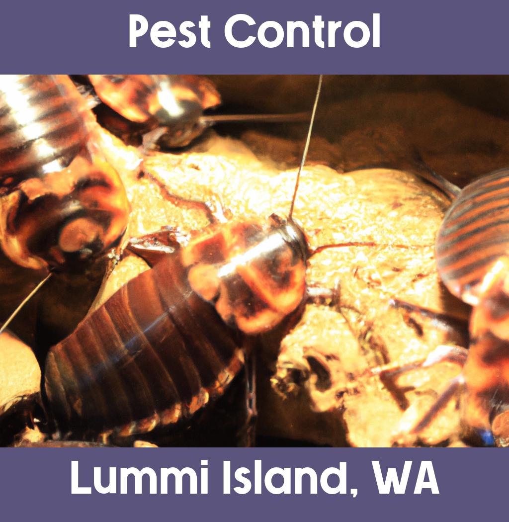 pest control in Lummi Island Washington